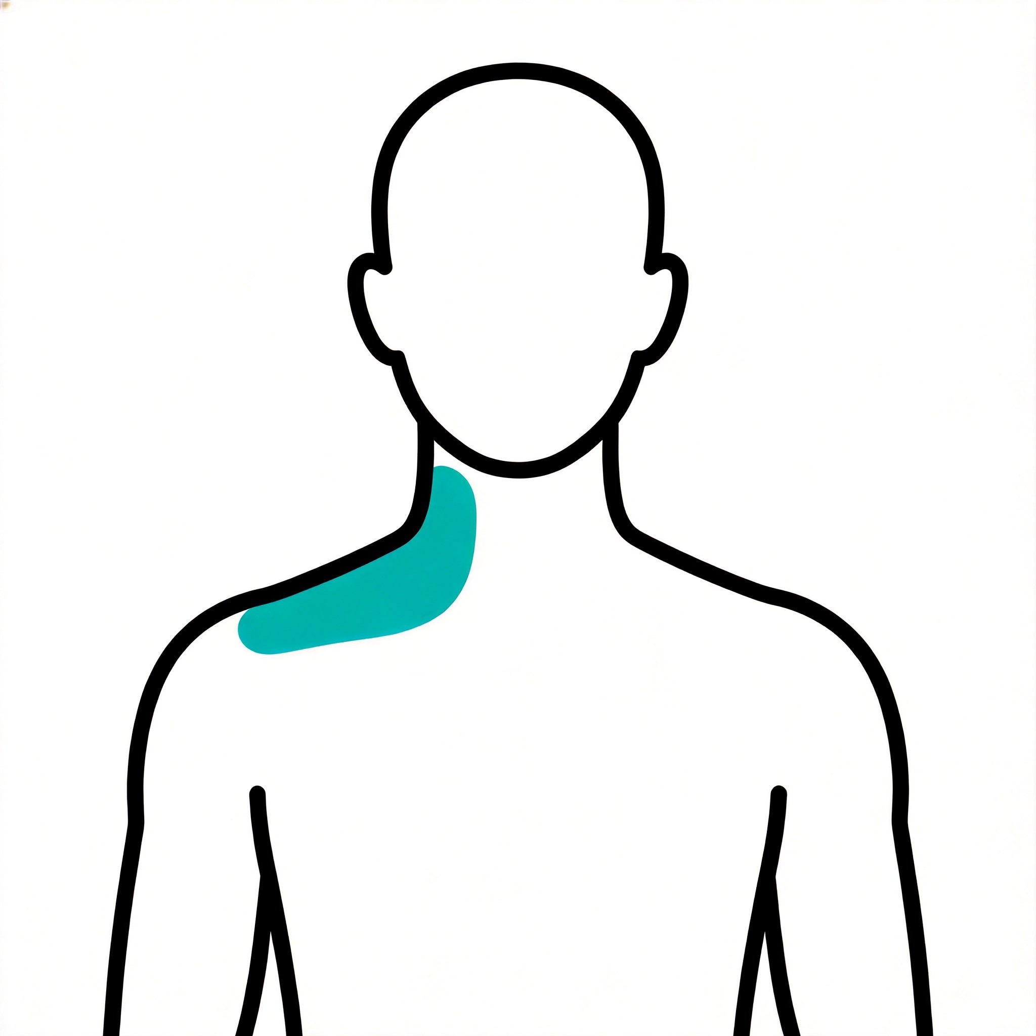 Neck and Shoulder